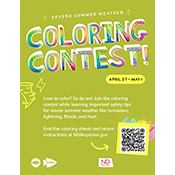 Icon - Contest Flyer